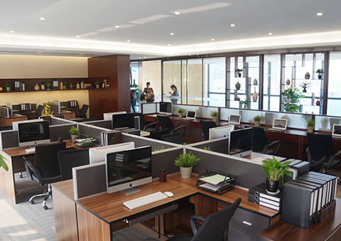 ���������ѯ����