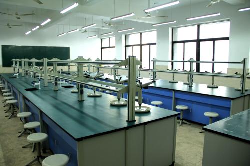 ����ʵ������ѯԤ��