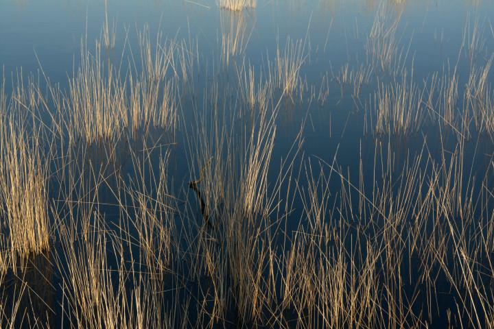 ����1 (2).jpg