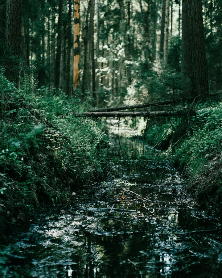 ����2 (2).jpg