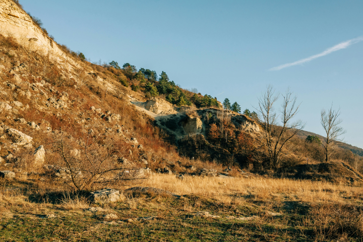 ����1 (2).jpg