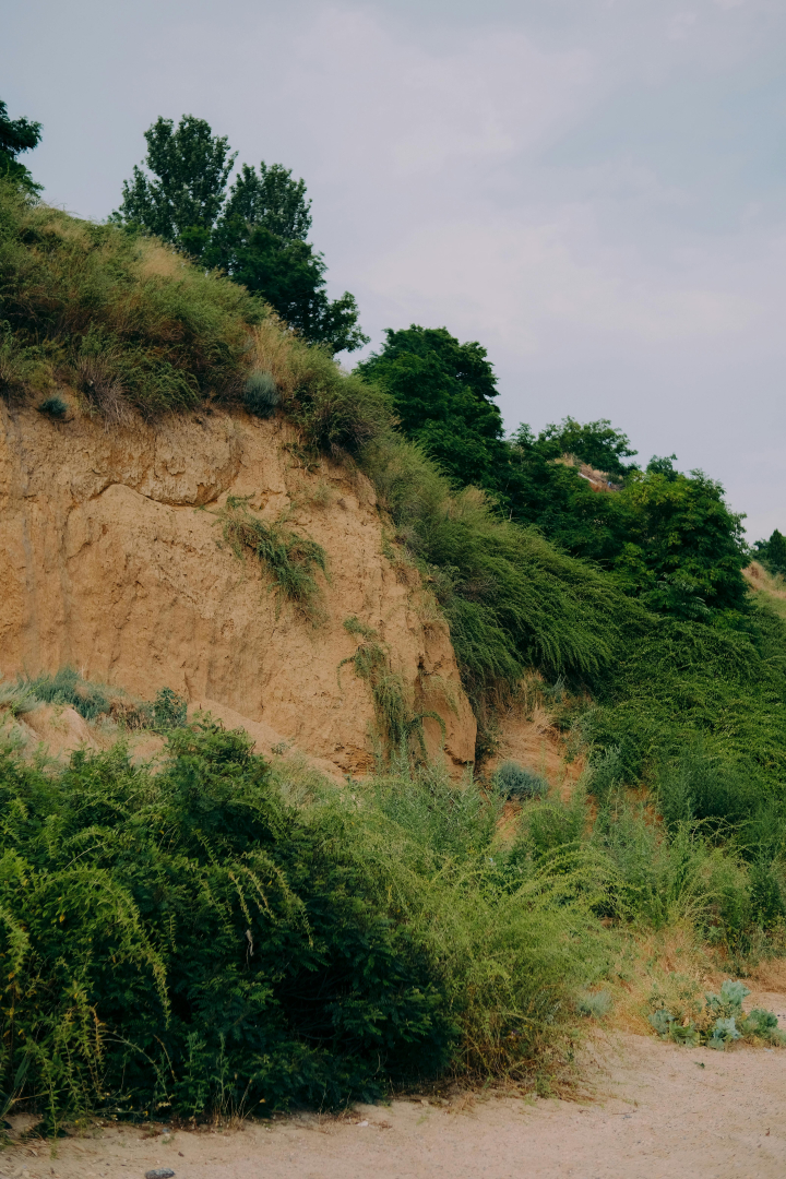 ����2 (2).jpg